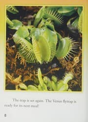 Cover book for Houghton Mifflin Science California